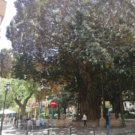 Centro Historico لقنت