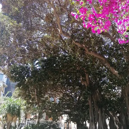 Centro Historico * لقنت