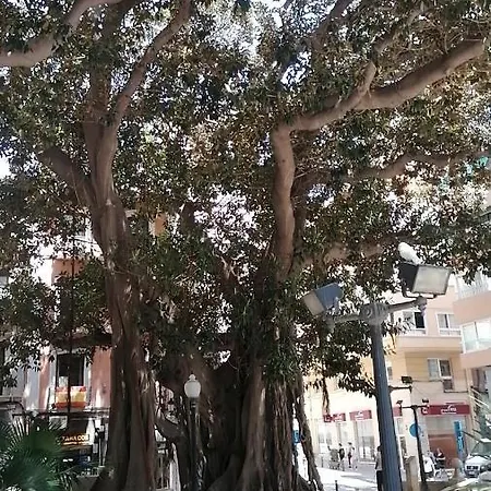 Centro Historico لقنت