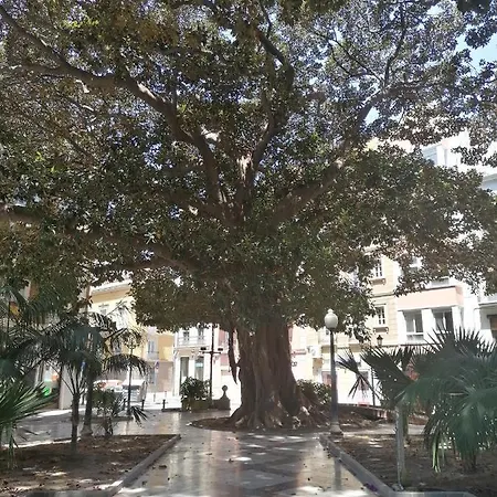 Centro Historico لقنت